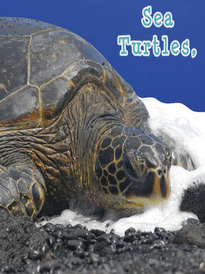 cover image of Sea Turtles, What Do You Do?